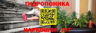 прущие грибы Краснокаменск