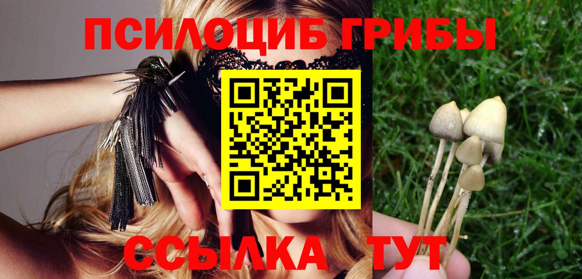 Галлюциногенные грибы мицелий  Вход с VPN  Зеленогорск 
