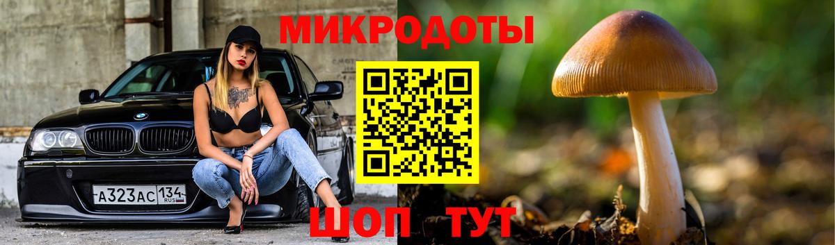 Псилоцибиновые грибы прущие грибы Зеленогорск